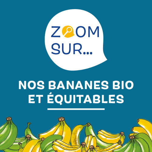 La filière "bananes" bio et équitables chez Biocoop La Juncha